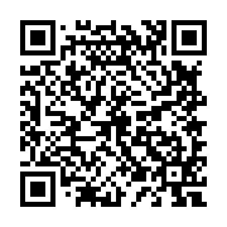 QR code for T55895