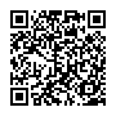 QR code for T56065