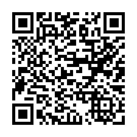 QR code for T56991