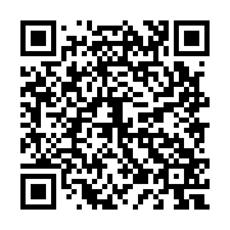 QR code for T58163