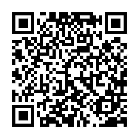 QR code for T58502