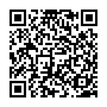 QR code for T61371