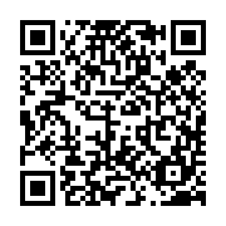 QR code for T62454