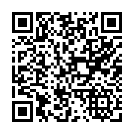 QR code for T63047