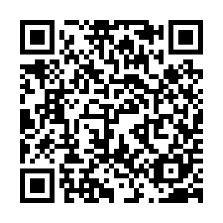 QR code for T63205