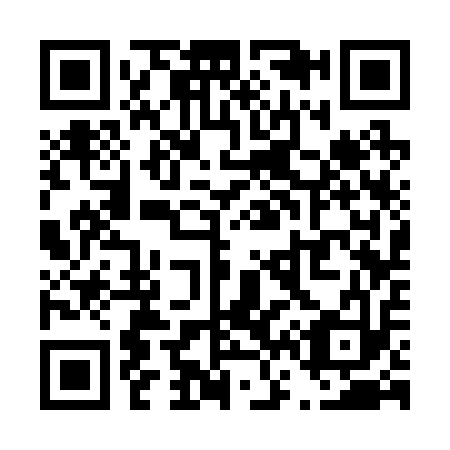 QR code for T63213