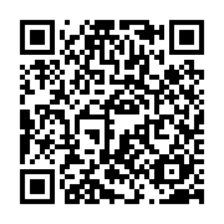 QR code for T63225
