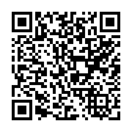 QR code for T63260