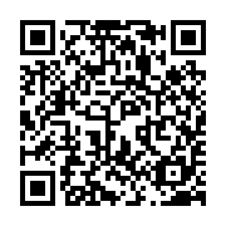 QR code for T63295
