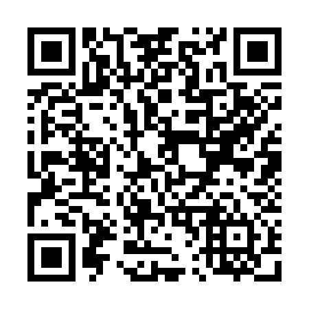 QR code for T63334