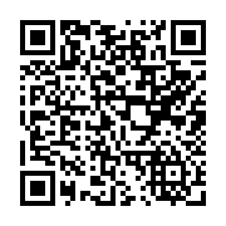 QR code for T63435