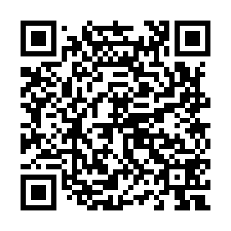 QR code for T63958