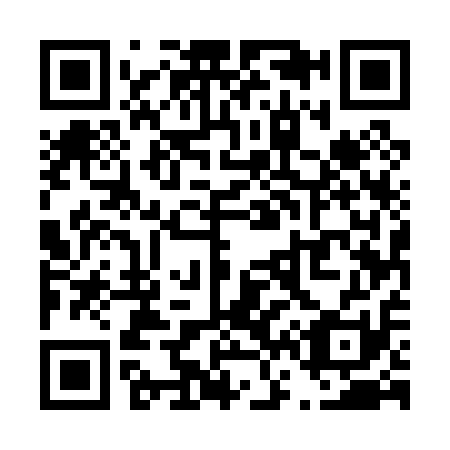 QR code for T65011