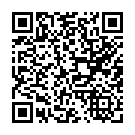 QR code for T65313