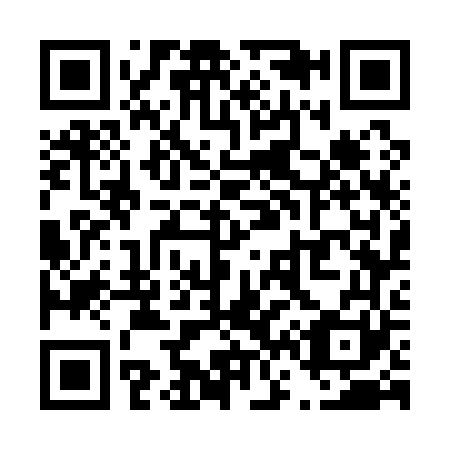 QR code for T67161
