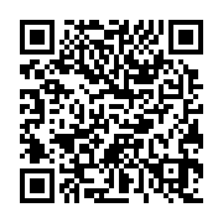 QR code for T67333
