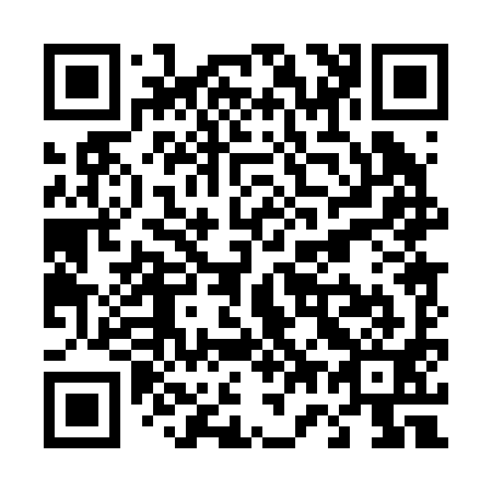 QR code for T70291