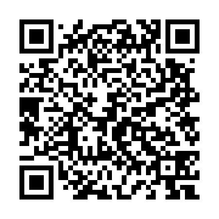 QR code for T77538