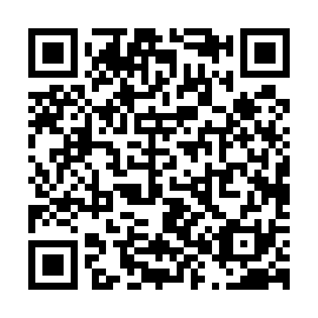 QR code for T80531
