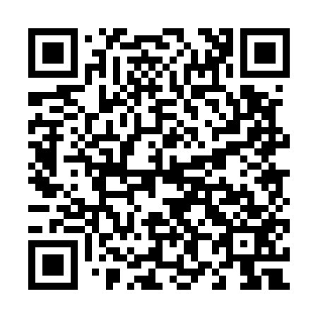 QR code for T80553