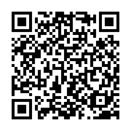 QR code for T81271