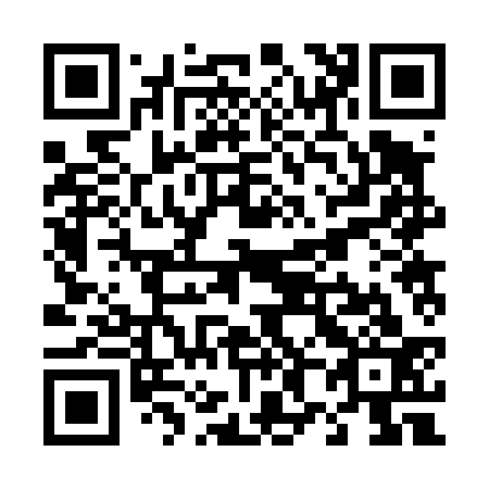 QR code for T82433