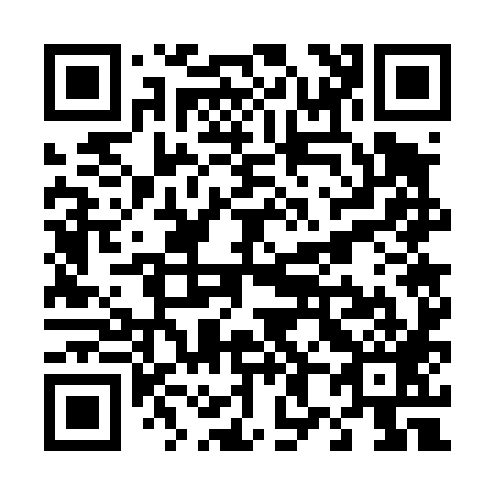 QR code for T87489