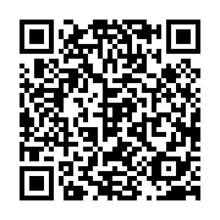 QR code for T90078