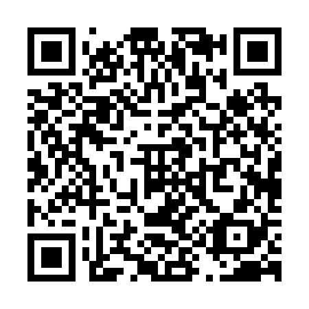 QR code for T90228