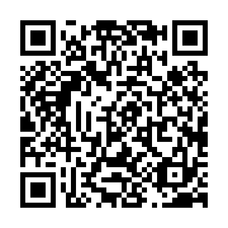 QR code for T90233