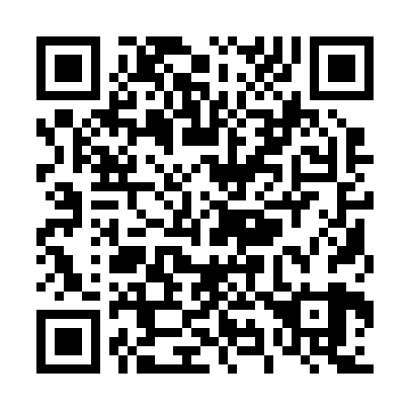 QR code for T91229
