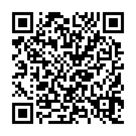 QR code for T91314