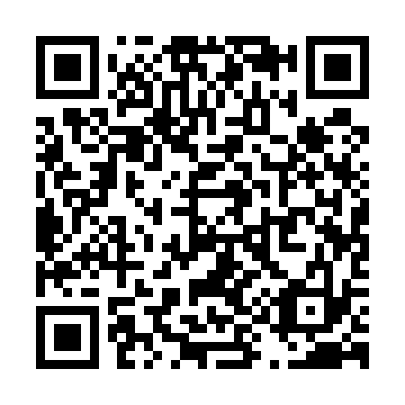 QR code for T91533