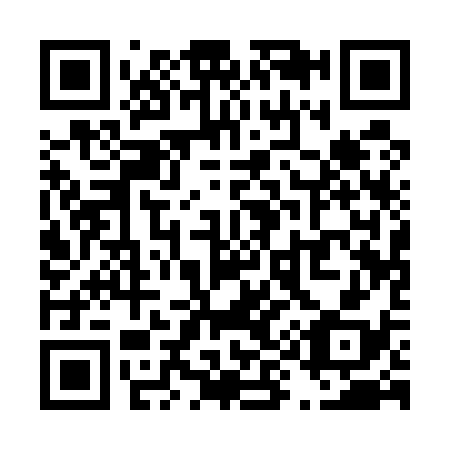 QR code for T91538