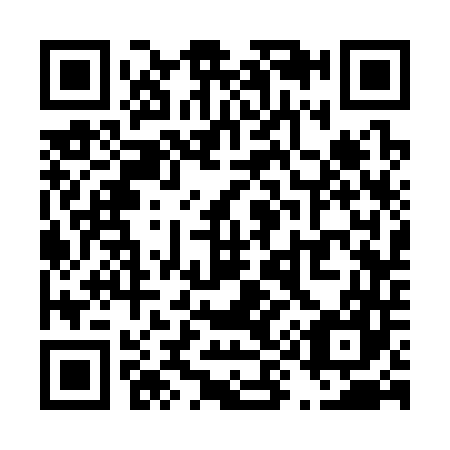 QR code for T93347