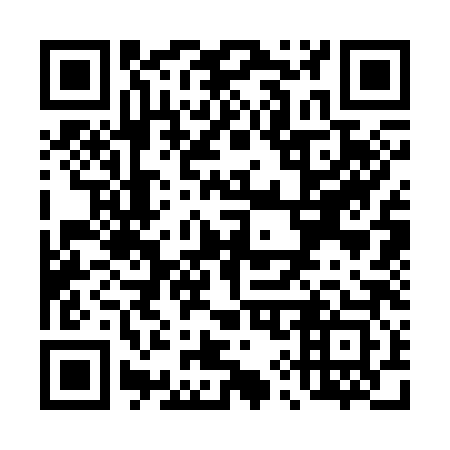 QR code for T93383