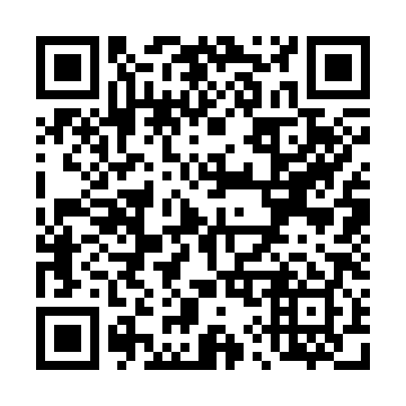 QR code for T93389