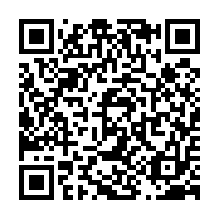 QR code for T93513