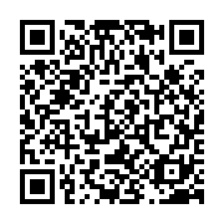 QR code for T93971