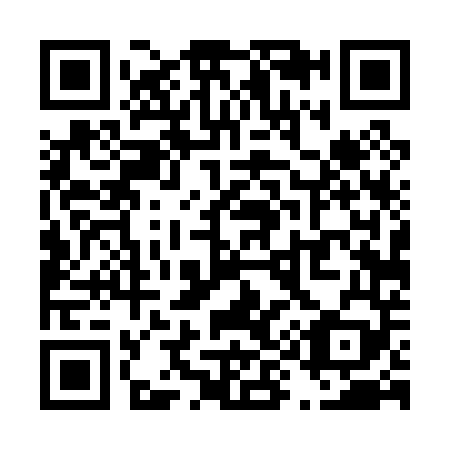 QR code for T94049