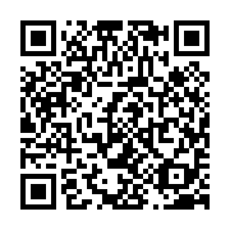QR code for T95099