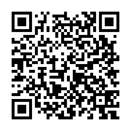 QR code for T95139