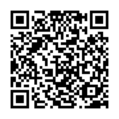 QR code for T95269