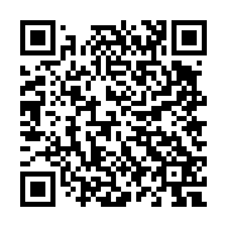 QR code for T95423
