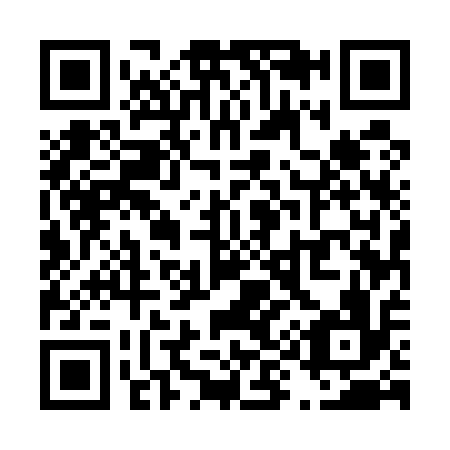 QR code for T95516