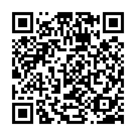 QR code for T95538