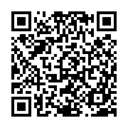 QR code for T95567