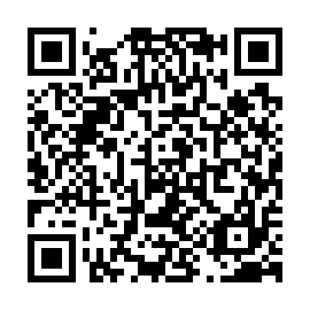QR code for T95717