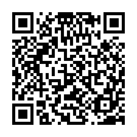 QR code for T95852