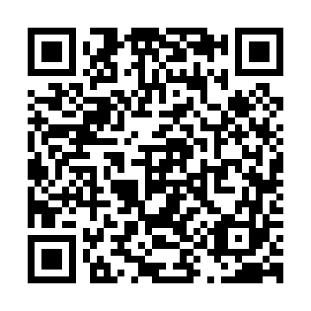 QR code for T96063